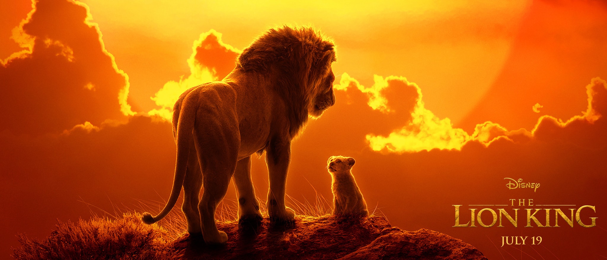 Why You Should Be Excited For The Lion King